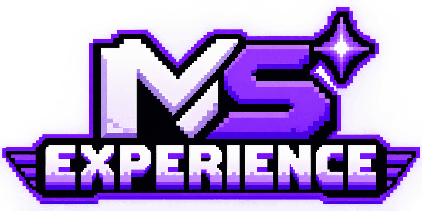 MS Experience